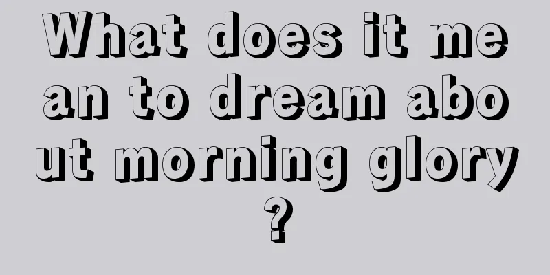 What does it mean to dream about morning glory?