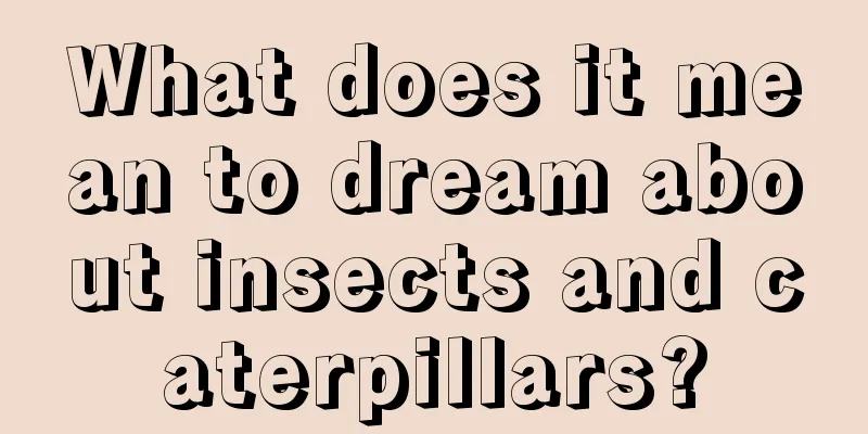 What does it mean to dream about insects and caterpillars?