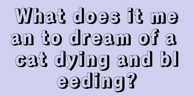 What does it mean to dream of a cat dying and bleeding?