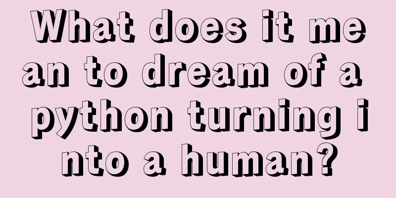 What does it mean to dream of a python turning into a human?