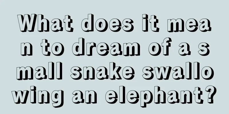 What does it mean to dream of a small snake swallowing an elephant?