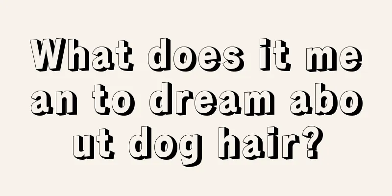 What does it mean to dream about dog hair?