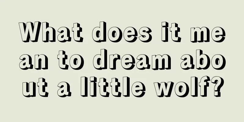 What does it mean to dream about a little wolf?