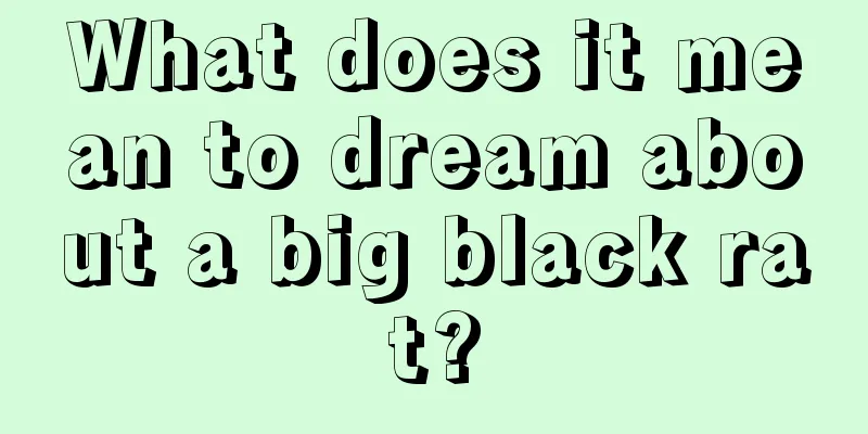 What does it mean to dream about a big black rat?