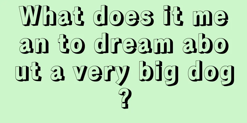 What does it mean to dream about a very big dog?