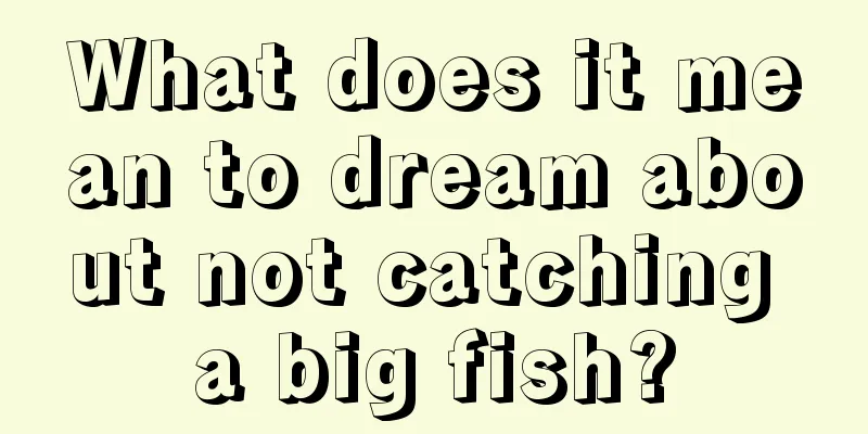 What does it mean to dream about not catching a big fish?