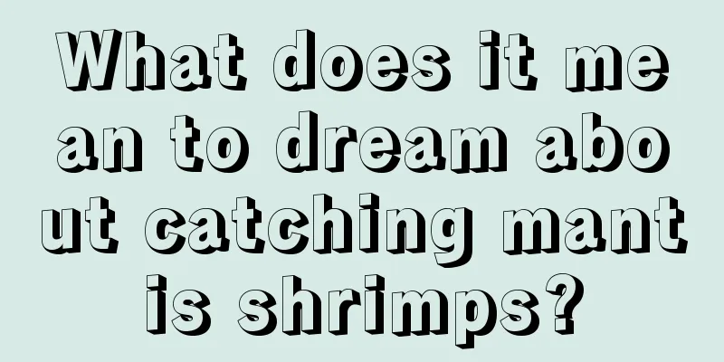 What does it mean to dream about catching mantis shrimps?