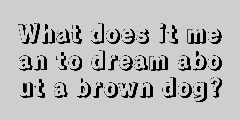 What does it mean to dream about a brown dog?