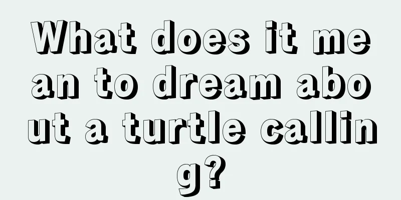 What does it mean to dream about a turtle calling?