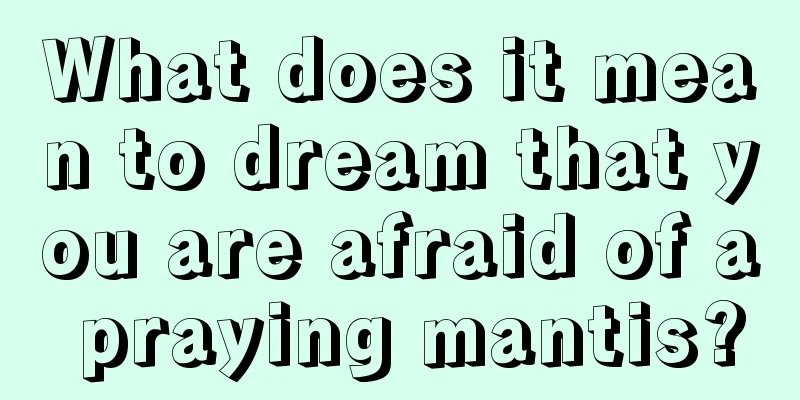 What does it mean to dream that you are afraid of a praying mantis?