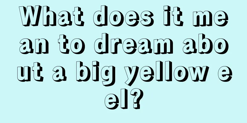 What does it mean to dream about a big yellow eel?