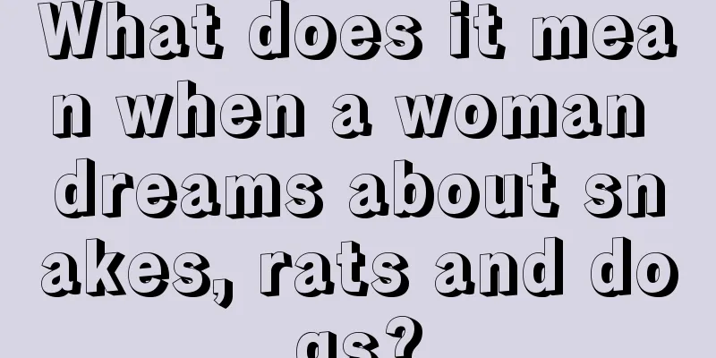 What does it mean when a woman dreams about snakes, rats and dogs?