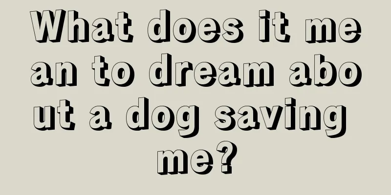 What does it mean to dream about a dog saving me?