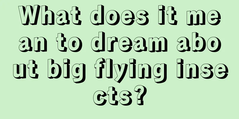 What does it mean to dream about big flying insects?