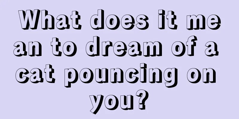 What does it mean to dream of a cat pouncing on you?