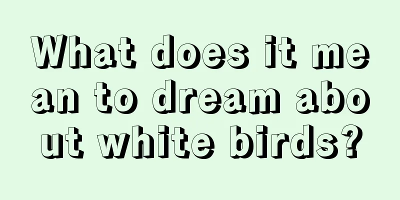 What does it mean to dream about white birds?