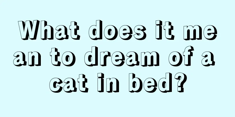 What does it mean to dream of a cat in bed?