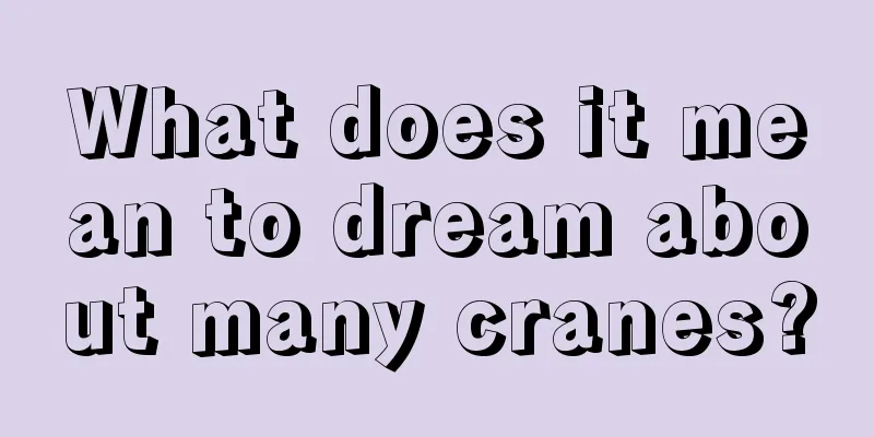 What does it mean to dream about many cranes?