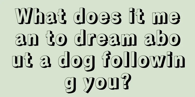 What does it mean to dream about a dog following you?