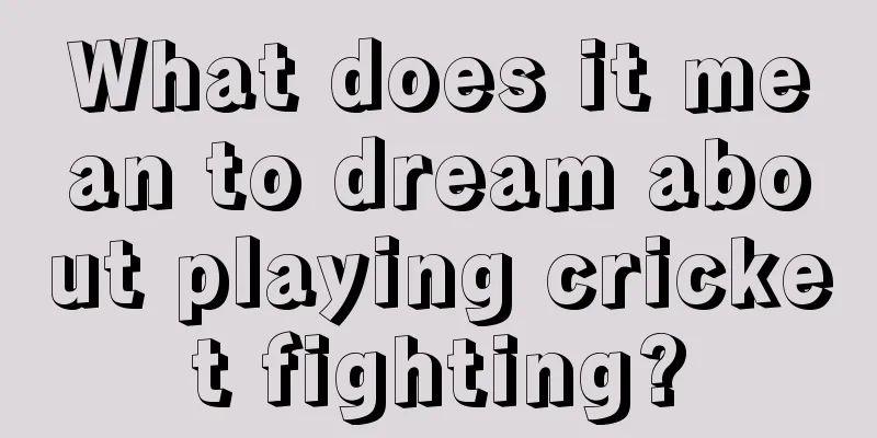 What does it mean to dream about playing cricket fighting?