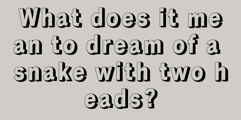 What does it mean to dream of a snake with two heads?