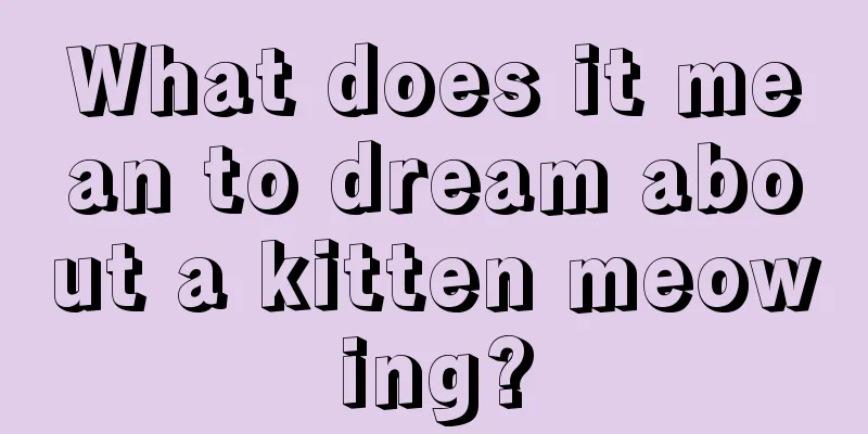 What does it mean to dream about a kitten meowing?