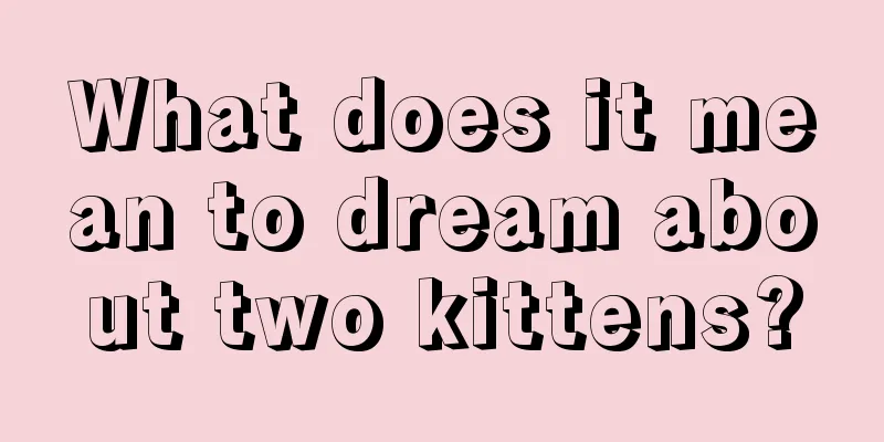 What does it mean to dream about two kittens?