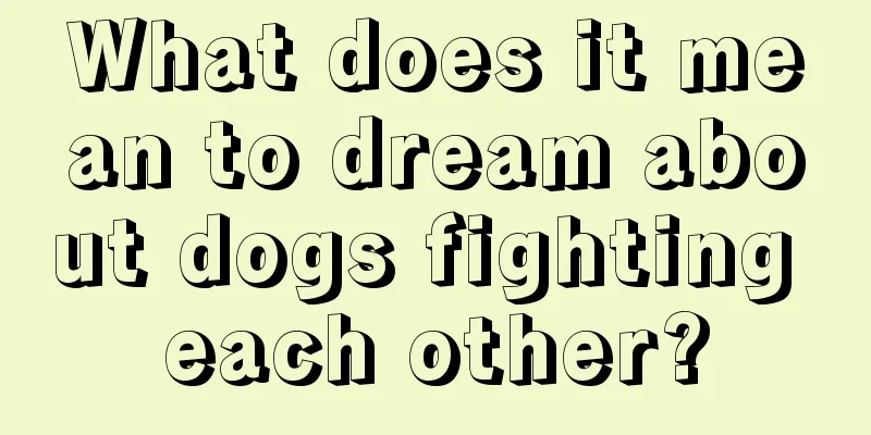 What does it mean to dream about dogs fighting each other?