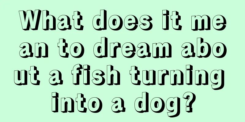 What does it mean to dream about a fish turning into a dog?