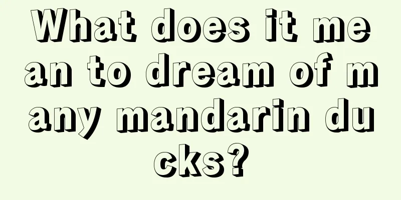 What does it mean to dream of many mandarin ducks?