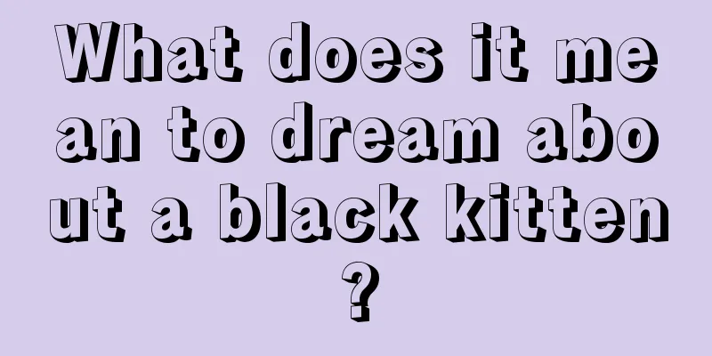 What does it mean to dream about a black kitten?