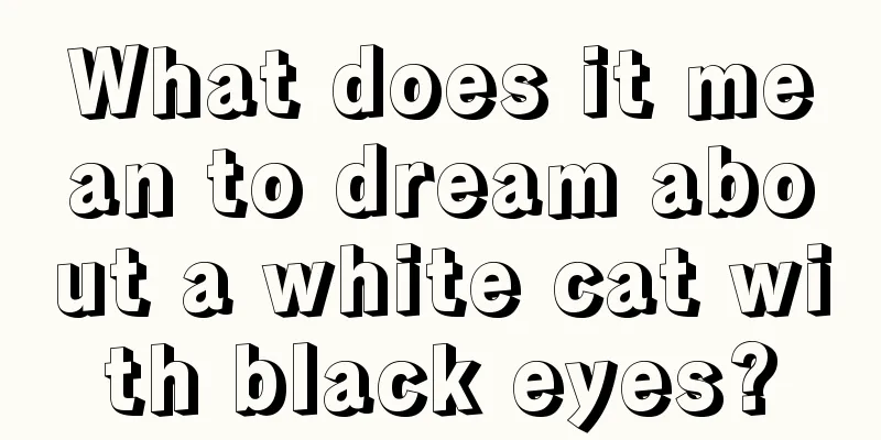 What does it mean to dream about a white cat with black eyes?