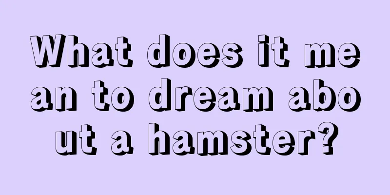 What does it mean to dream about a hamster?