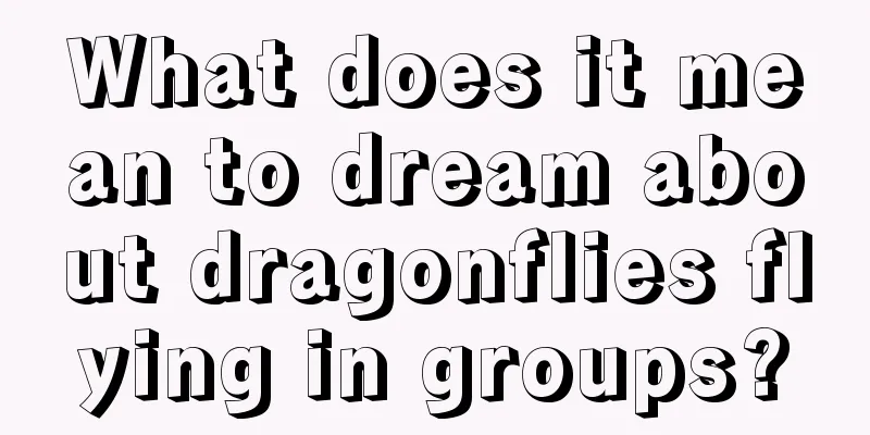 What does it mean to dream about dragonflies flying in groups?