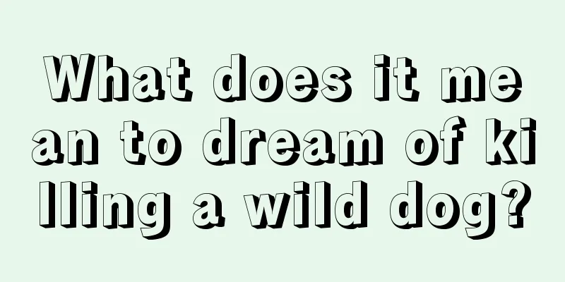 What does it mean to dream of killing a wild dog?