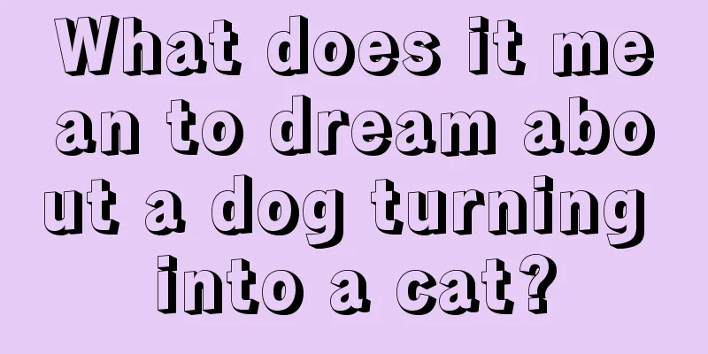 What does it mean to dream about a dog turning into a cat?