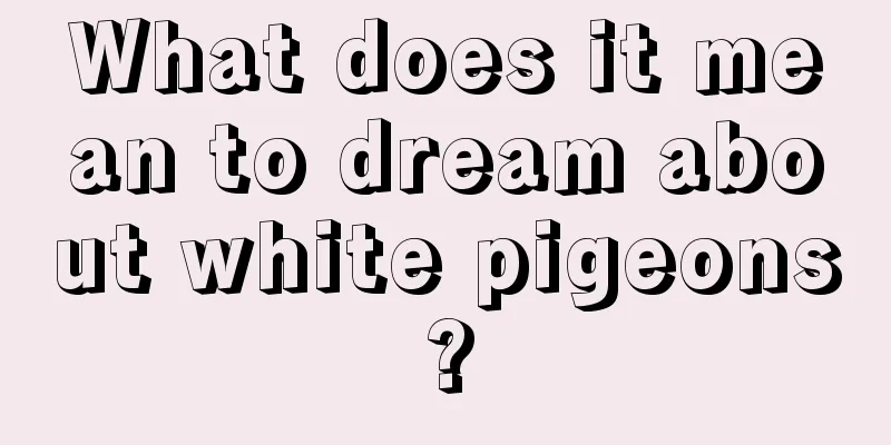 What does it mean to dream about white pigeons?