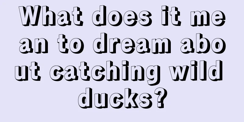 What does it mean to dream about catching wild ducks?