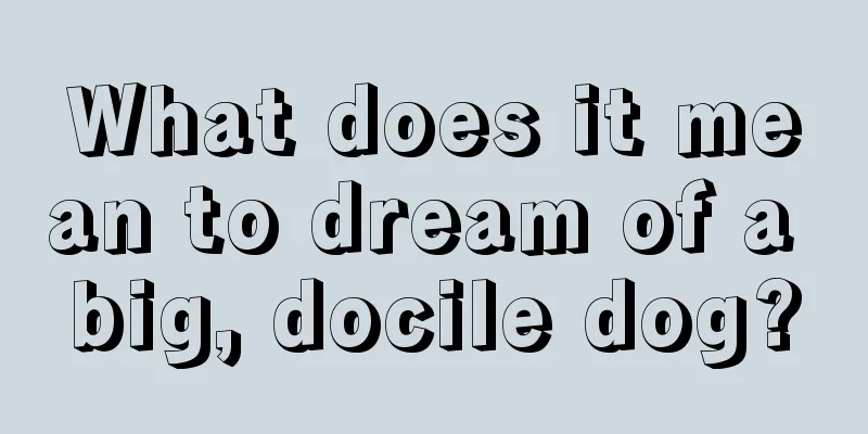 What does it mean to dream of a big, docile dog?