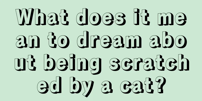 What does it mean to dream about being scratched by a cat?