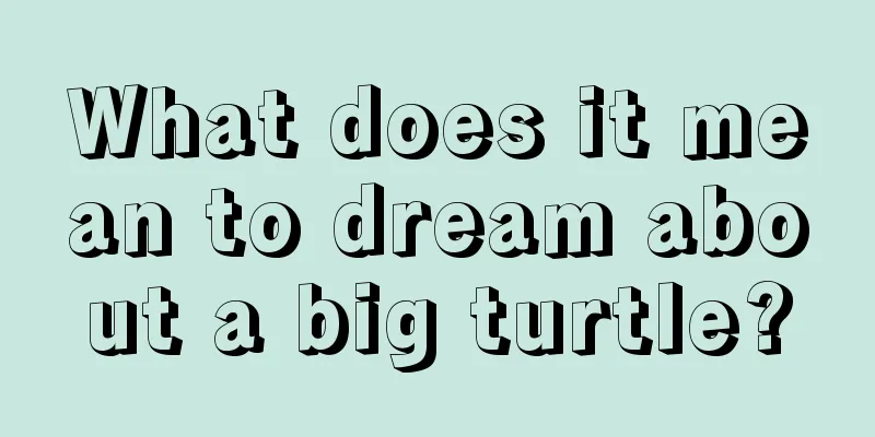 What does it mean to dream about a big turtle?