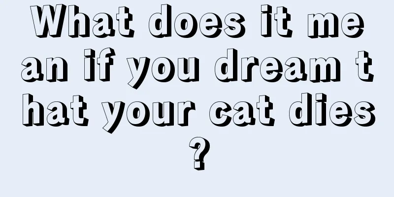 What does it mean if you dream that your cat dies?