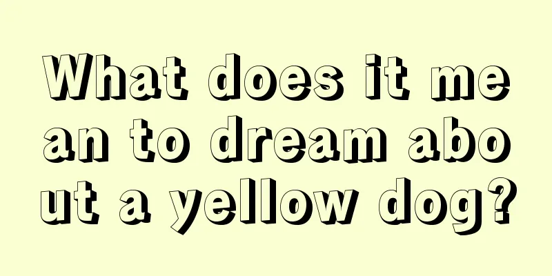 What does it mean to dream about a yellow dog?