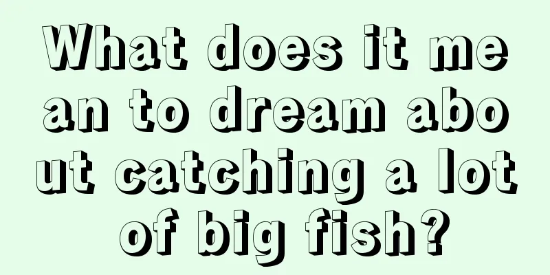 What does it mean to dream about catching a lot of big fish?