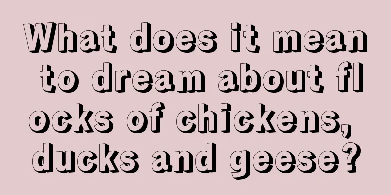 What does it mean to dream about flocks of chickens, ducks and geese?