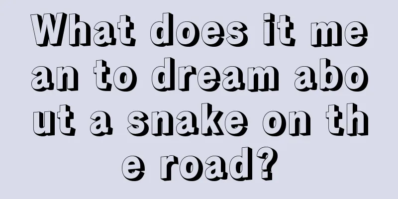 What does it mean to dream about a snake on the road?