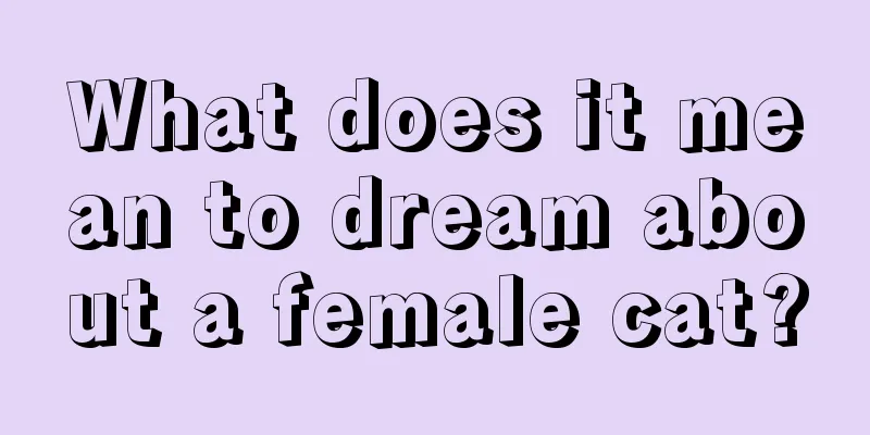 What does it mean to dream about a female cat?