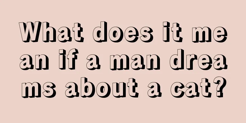 What does it mean if a man dreams about a cat?