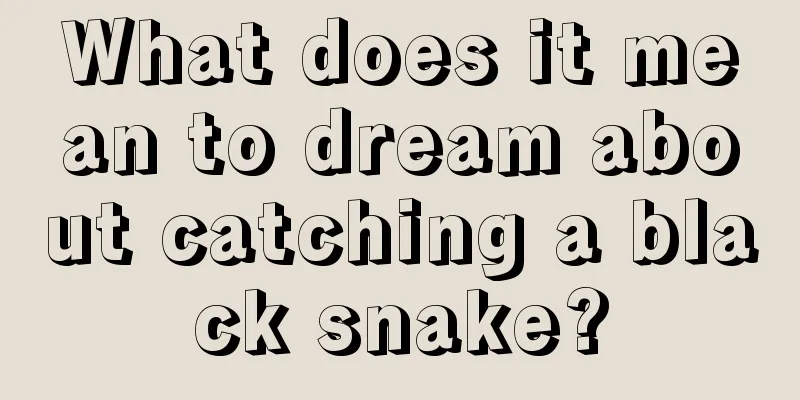 What does it mean to dream about catching a black snake?