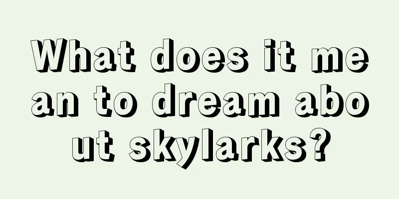 What does it mean to dream about skylarks?